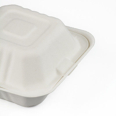 160*39mm Biodegradable Takeaway Food Containers 500ml ISO9001