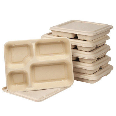BPI BRC NSF 24*18*4cm Bagasse Lunch Box Microwavable Refrigerable
