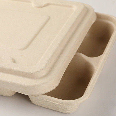 BPI BRC NSF 24*18*4cm Bagasse Lunch Box Microwavable Refrigerable